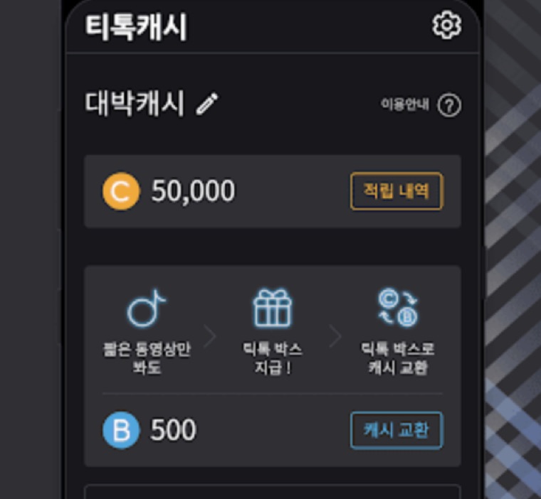 TictokCash screenshot